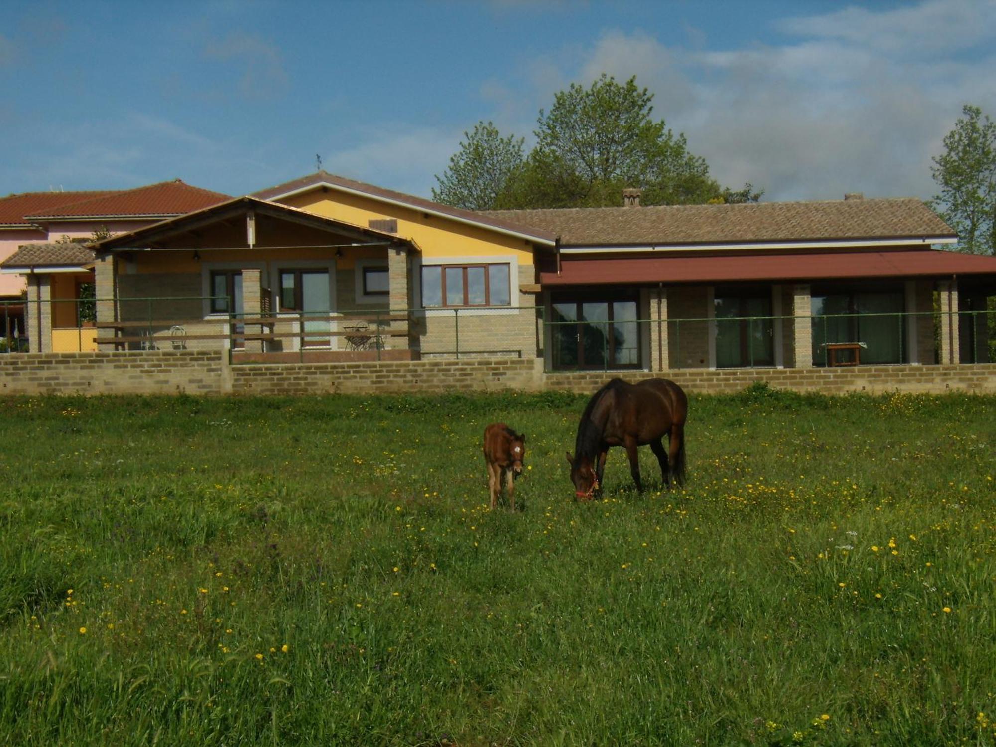 Agriturismo L.B.Stud Bracciano  Eksteriør bilde