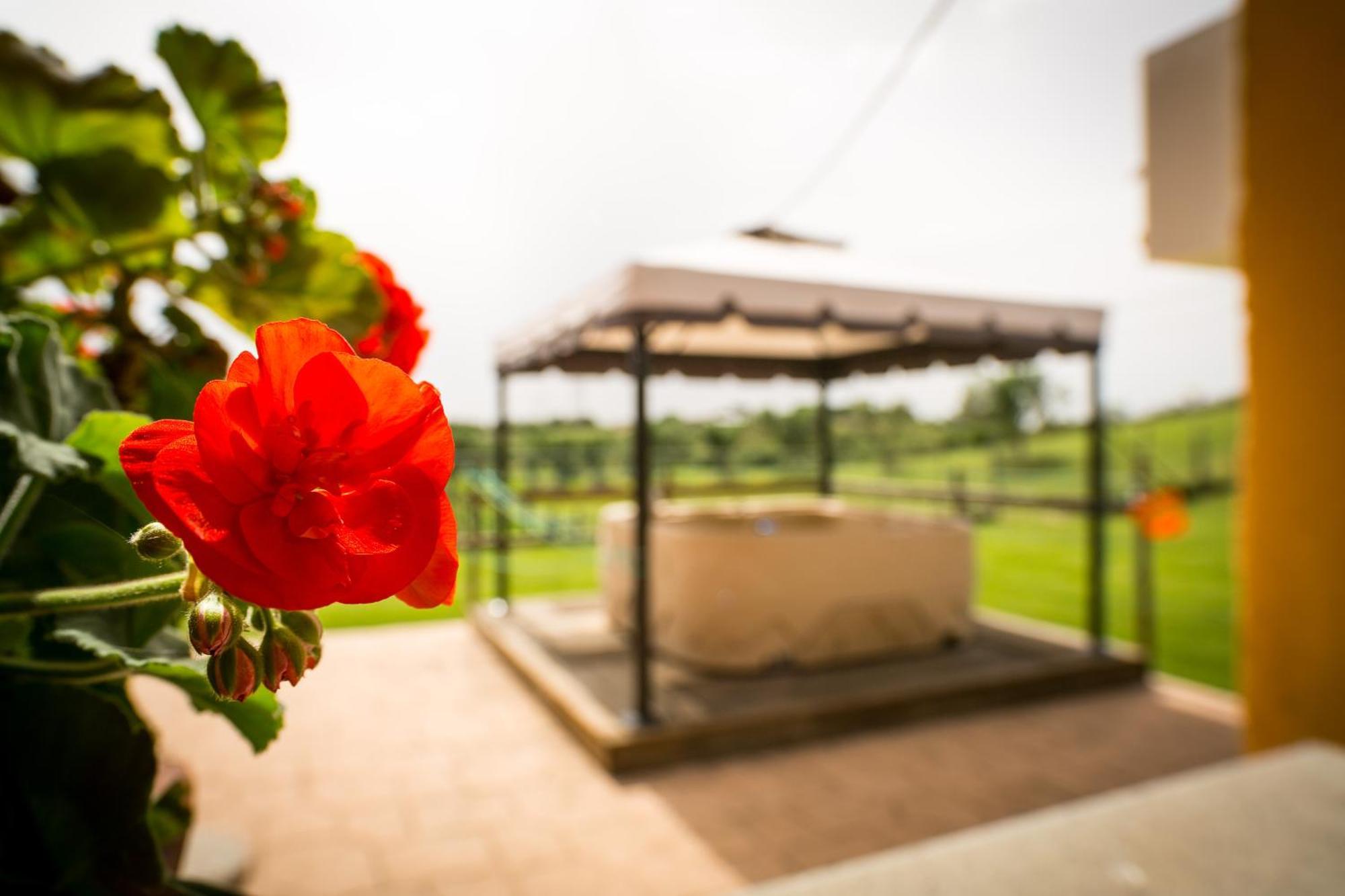 Agriturismo L.B.Stud Bracciano  Rom bilde