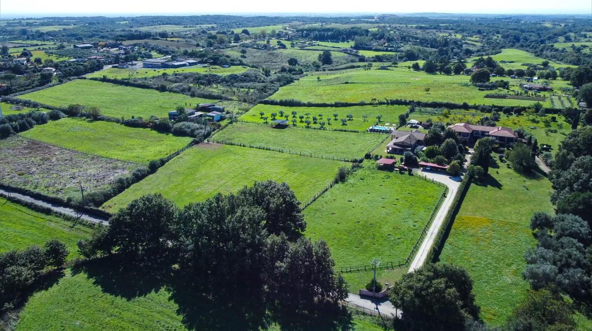 Agriturismo L.B.Stud Bracciano  Eksteriør bilde
